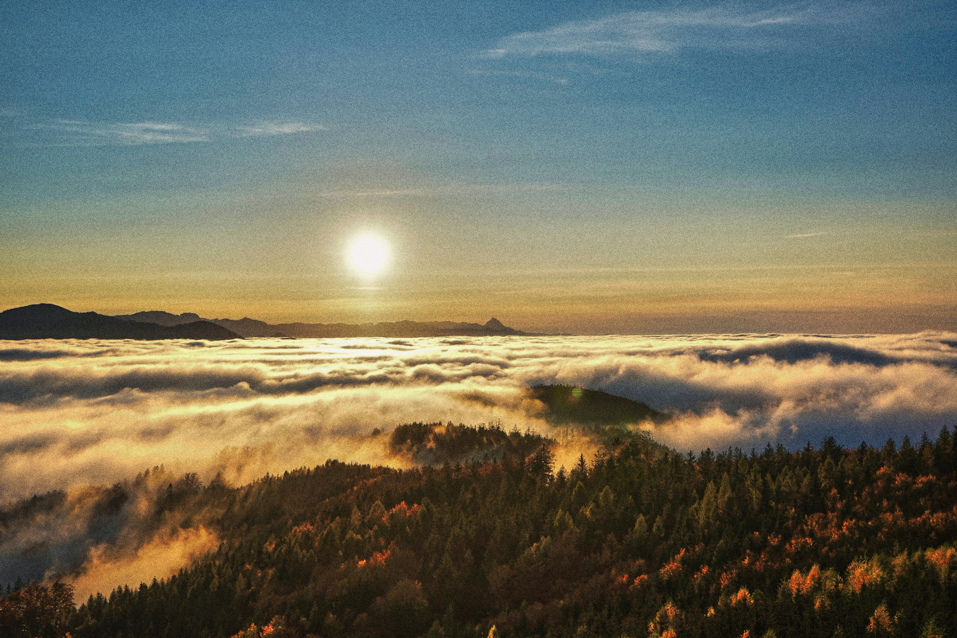 朝日が照らす雲海と山々、手前に広がる森